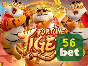 bet_主图