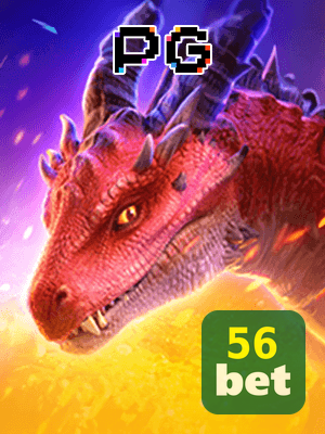 Recursos App 56BET